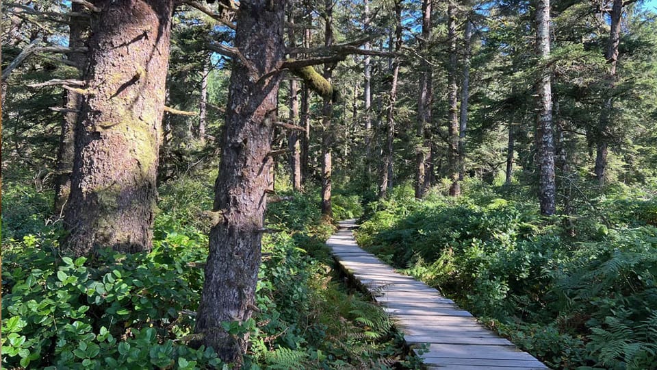 Take a hike